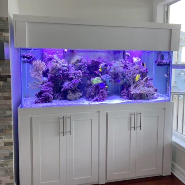 Shaker Series | Aquarium Wood Cabinets