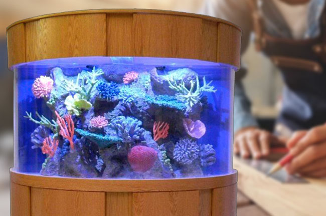 Round Aquarium by Aquarium Wood Products Craftsmanship